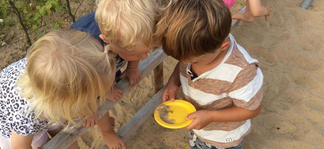 Børn undersøger larve i sandkasse
