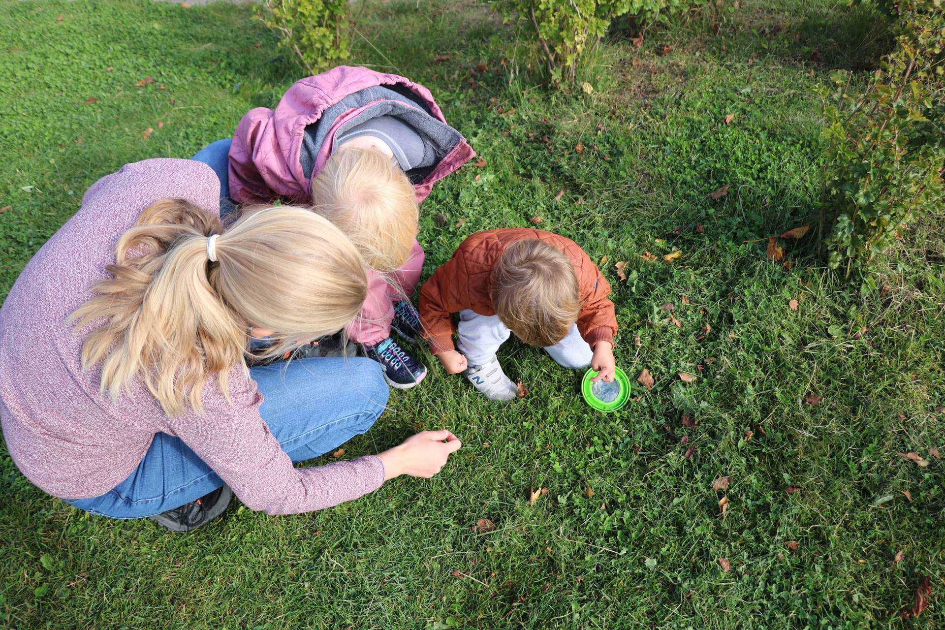 To børn og en voksen undersøger insekter i græsset